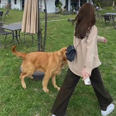 牙狼:魔戒之花