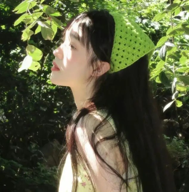 帕美嘉